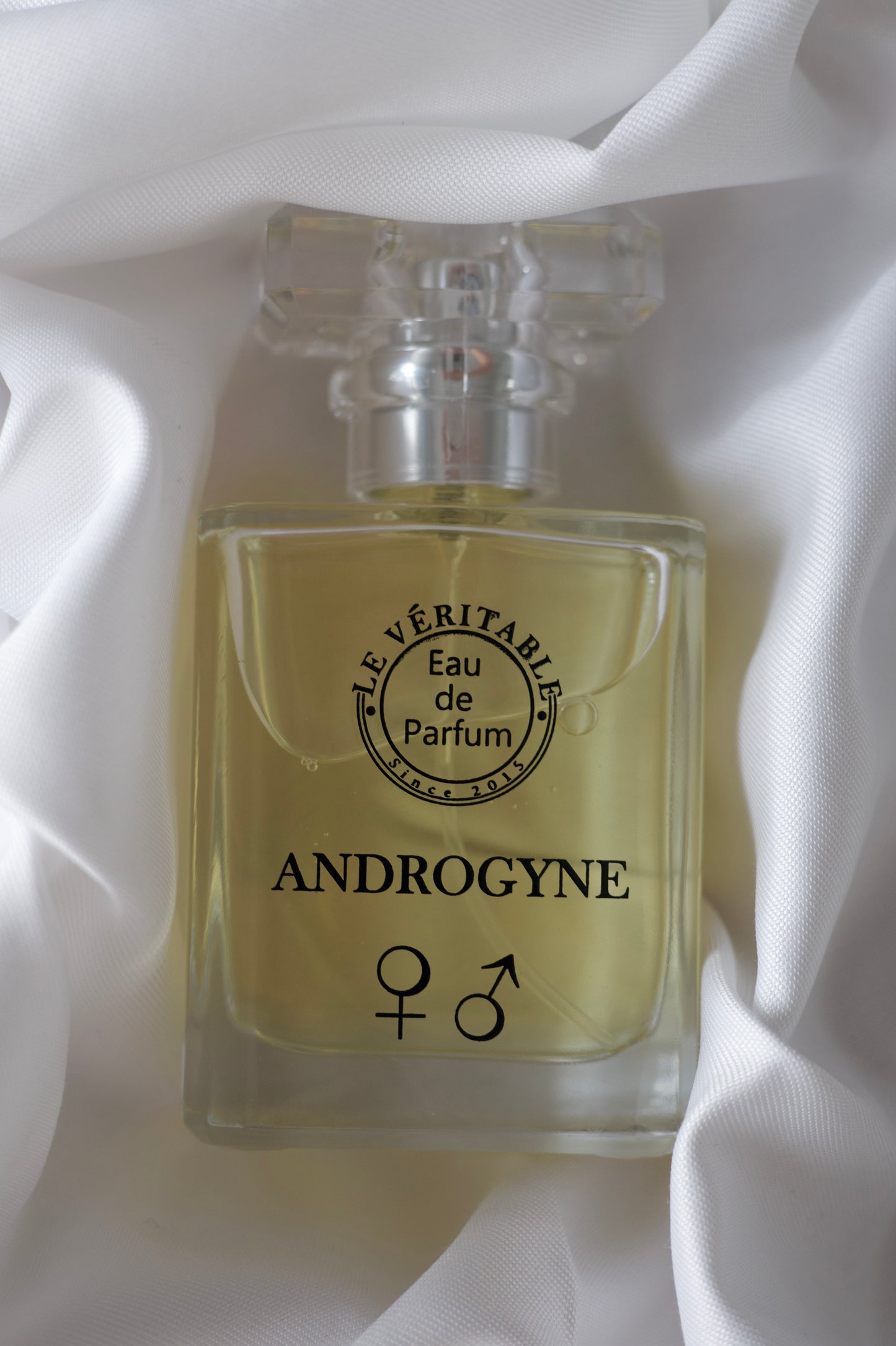 EAU DE PARFUM - ANDROGYN 50 ML