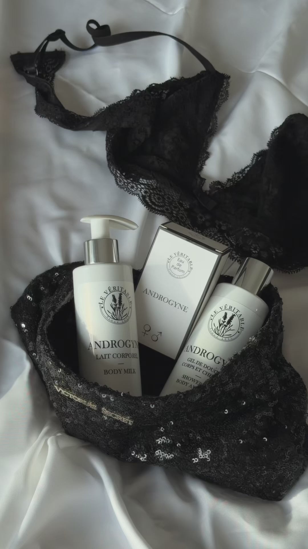 Charger la vidéo : 